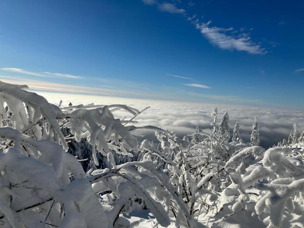 KostelApartmány Liberec Esterno foto