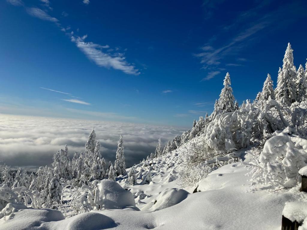 KostelApartmány Liberec Esterno foto